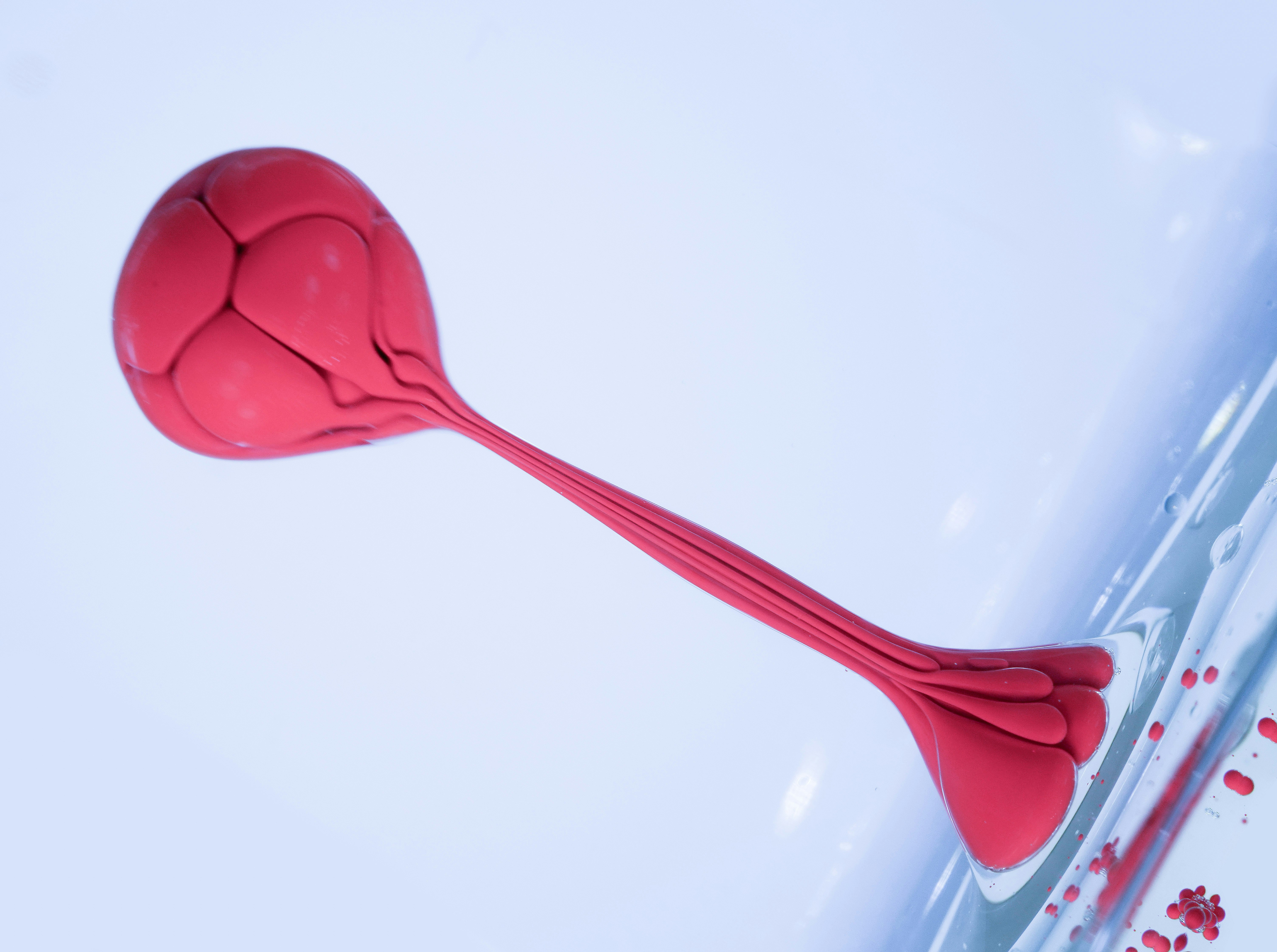 red heart shaped lollipop on white ceramic plate